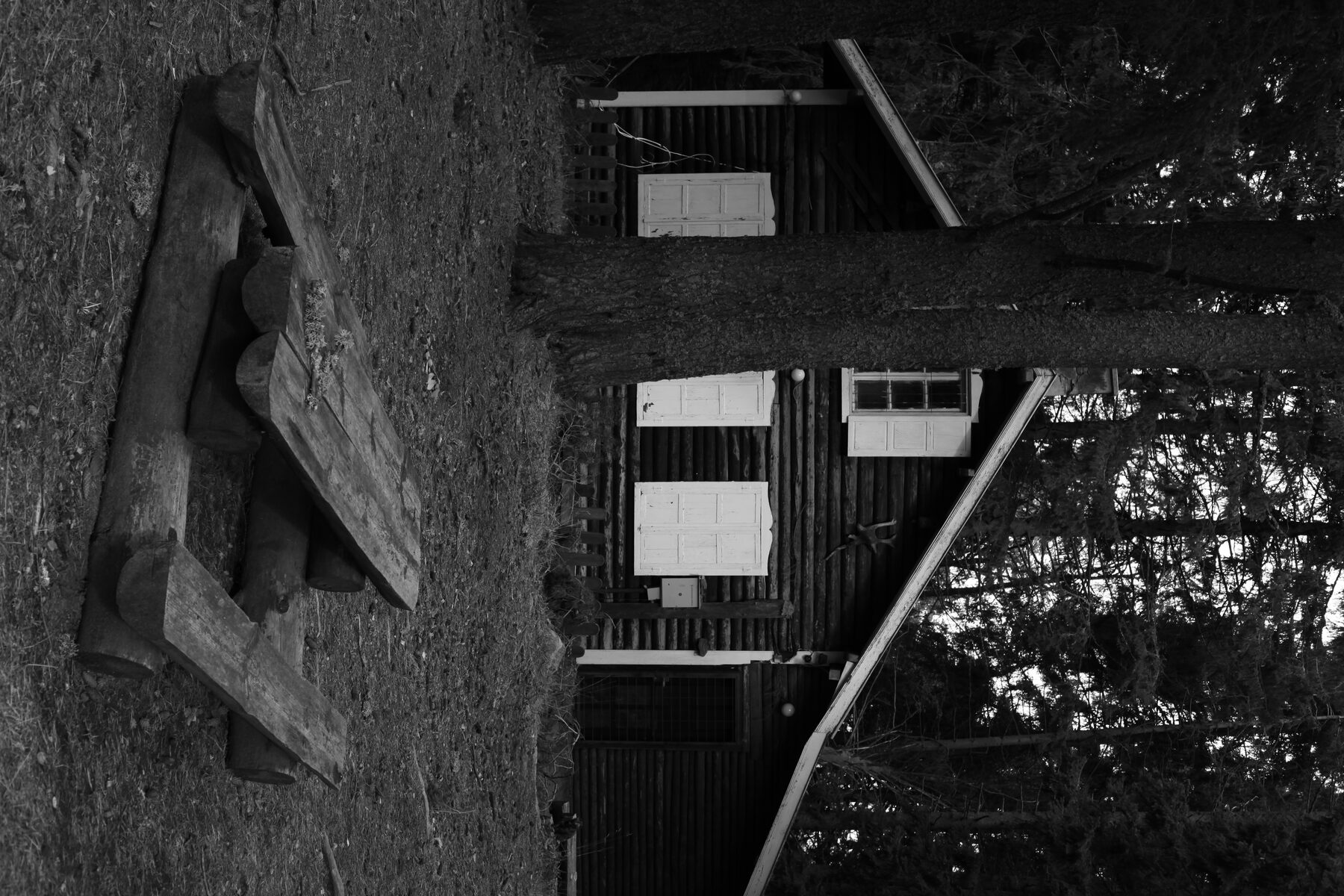 Nature documentary photography, Bulgaria